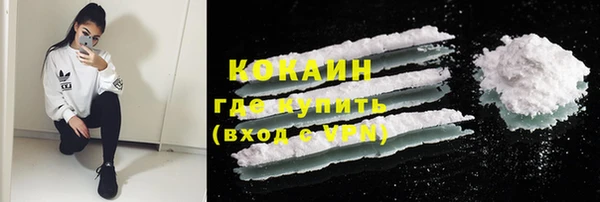 стаф Покачи